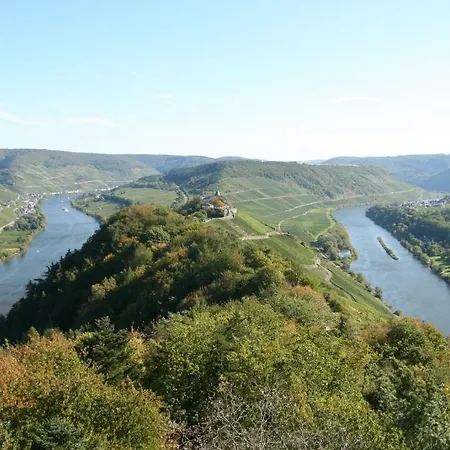 Ferienweingut Hensler Maison d'hôtes
