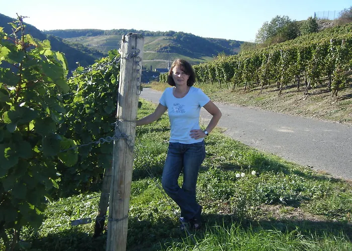 게스트하우스 Ferienweingut Hensler 3*