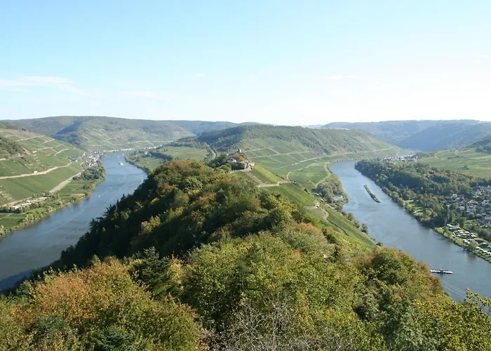 Ferienweingut Hensler 게스트하우스