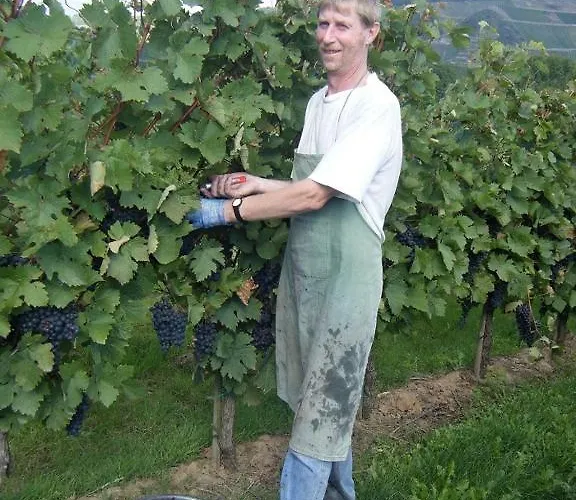 게스트하우스 Ferienweingut Hensler