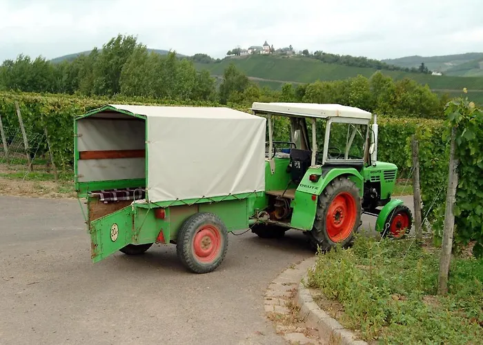 Ferienweingut Hensler 3* 브리에델